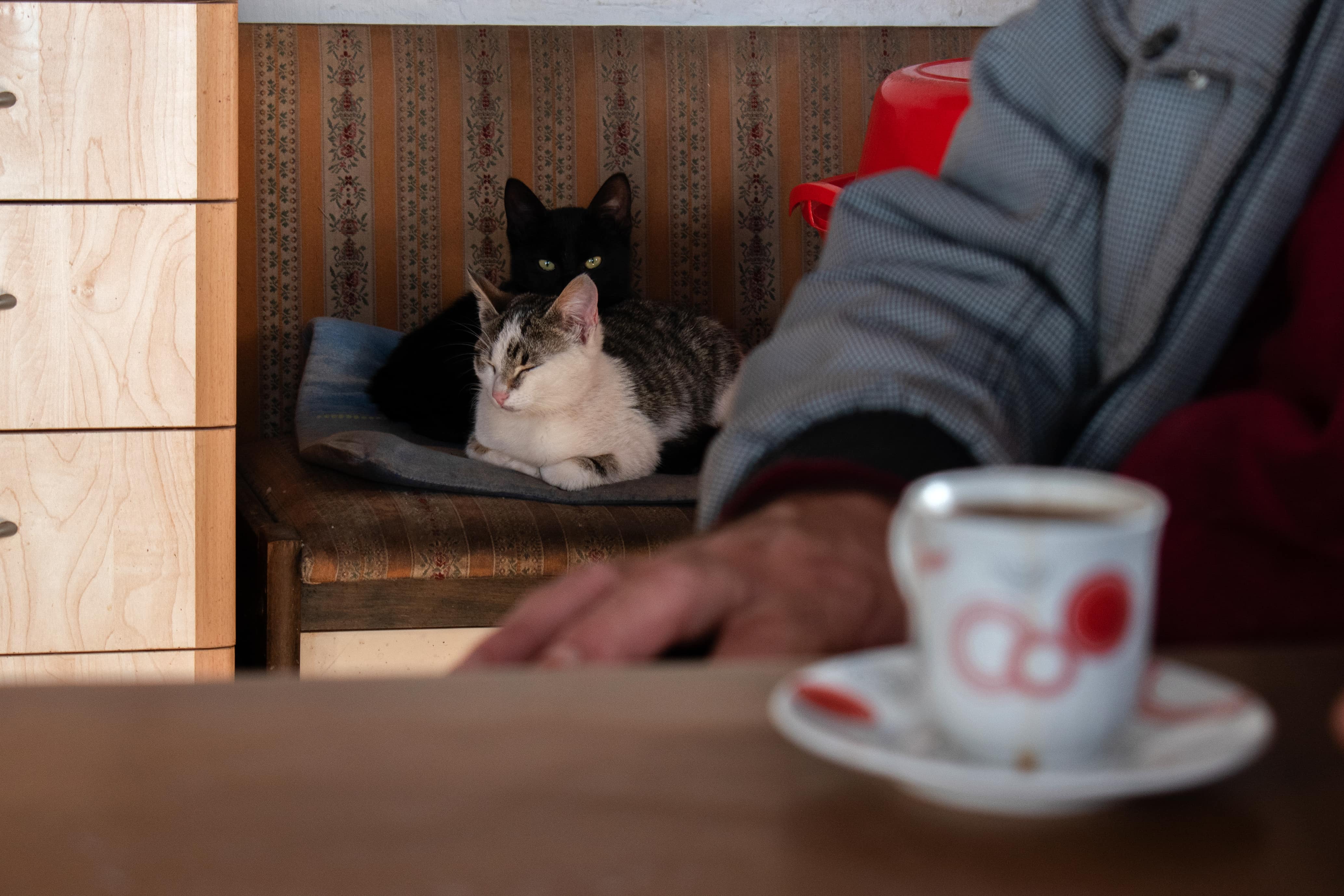 Fotografija iz seoske serije